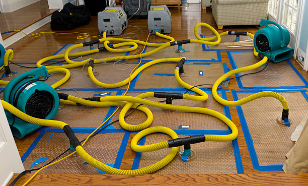 Professional Crawl Space Water Removal technician working in Fort Myers Beach, FL